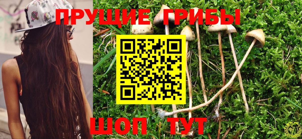 Псилоцибиновые грибы мухоморы Великий Устюг