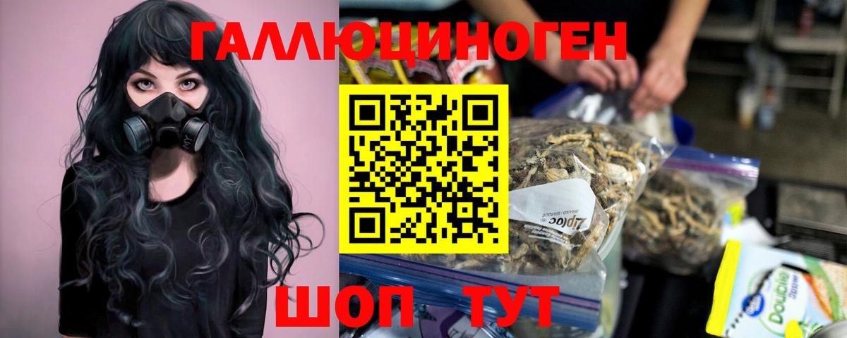 Галлюциногенные грибы Psilocybe  Вход с VPN  Великий Устюг 